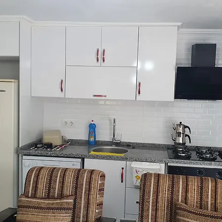 Mert Σπίτι διακοπών Ortaca (Mugla)